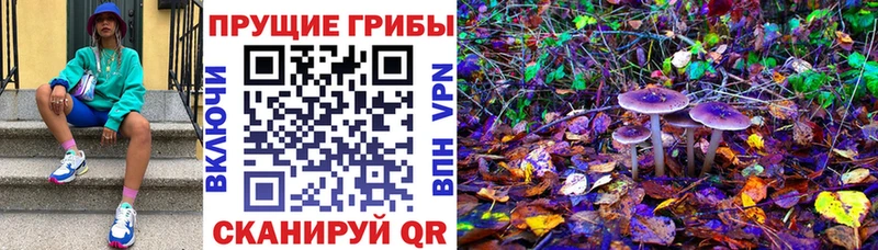 Псилоцибиновые грибы GOLDEN TEACHER  Купить закладки  Волжский 